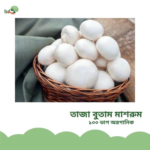 তাজাবোতামমাশরুম