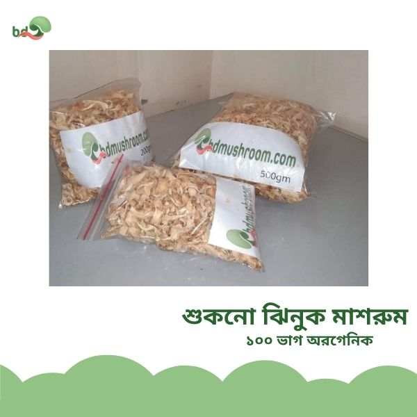 শুকনোঝিনুকমাশরুম