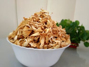 drymushroom