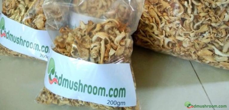 dry mushroom packet