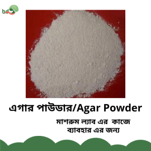 agar agar powder
