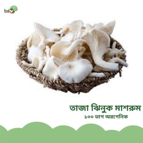 তাজাঝিনুকমাশরুম