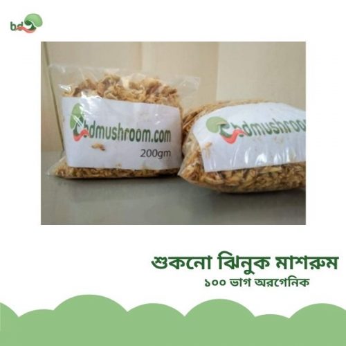শুকনোঝিনুকমাশরুম