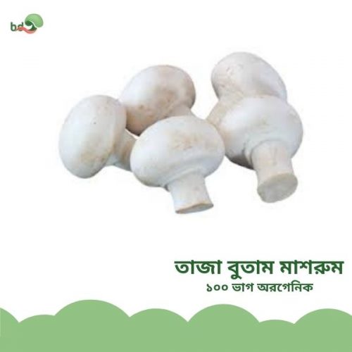 তাজাবোতামমাশরুম