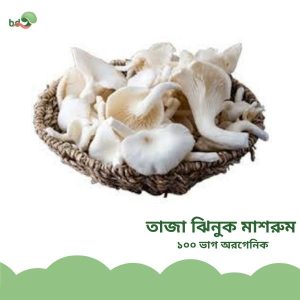 তাজা ঝিনুক মাশরুম / Fresh Oyster Mushroom