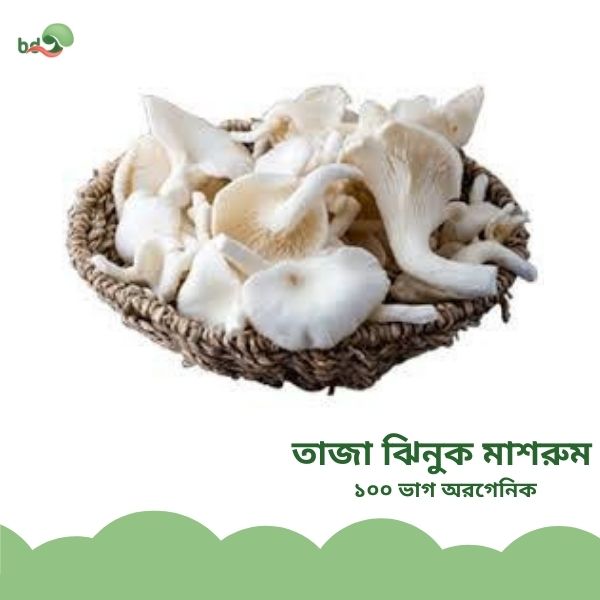 তাজা ঝিনুক মাশরুম / Fresh Oyster Mushroom