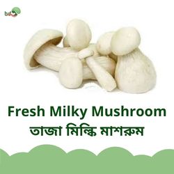 Milky Mushroom/মিল্কি মাশরুম