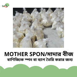 MOTHER SPON / মাদার বীজ
