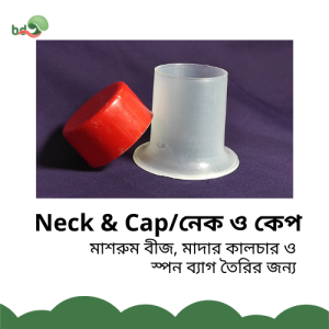 Neck & Cap / নেক ও কেপ