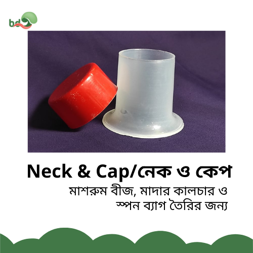 Neck & Cap / নেক ও কেপ