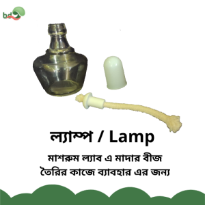 ল্যাম্প / Lamp