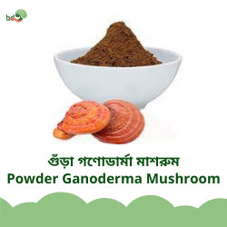 গুঁড়া গণোডার্মা মাশরুম / Powder Ganoderma Mushroom