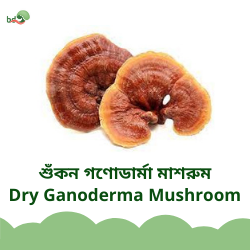 শুঁকন গণোডার্মা মাশরুম / Dry Ganoderma Mushroom
