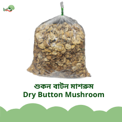 শুকন বাটন মাশরুম / Dry Button Mushroom