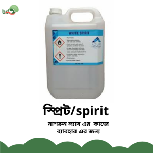 স্প্রিট/Spirit