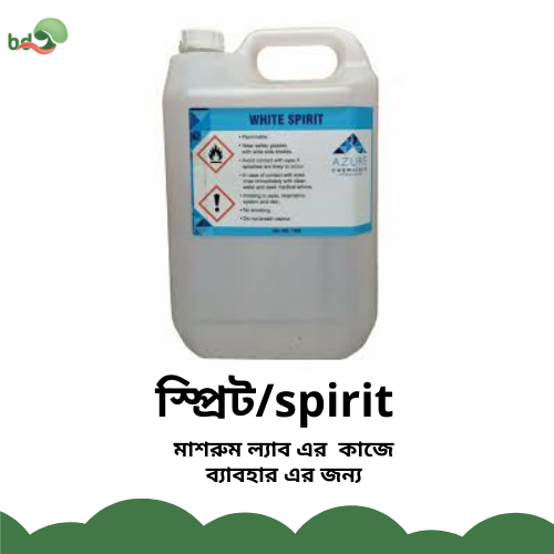 স্প্রিট/Spirit