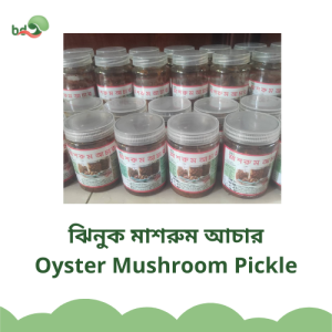 ঝিনুক মাশরুম আচার | Oyster Mushroom Pickle