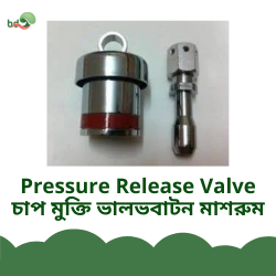 Pressure Release Valve Auto