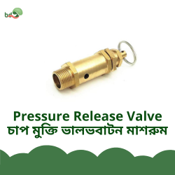 Pressure Release Valve Manual
