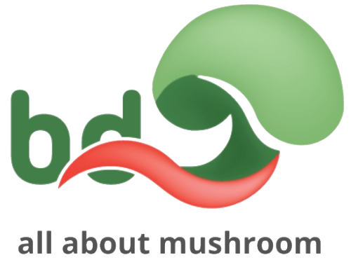 BD Mushroom